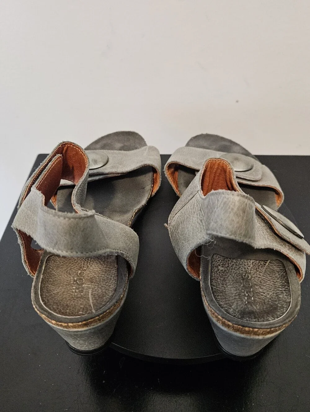 Taos Footwear taos carousel
